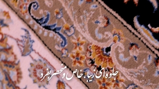 کلکسیون همایون محصولی از فرش فرهی