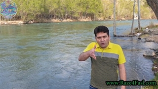 چگونه با فال نیک زدن، بهترین تقدیرمان را رقم می زنیم !؟