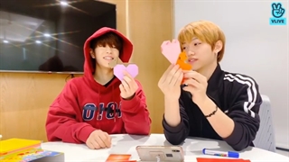 ویلایو فیلیکس و سونگمین (اعضای استری کیدز) به تاریخ 19.01.16با زیرنویس انلاین فارسی