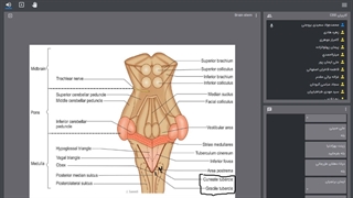 neuroanatomy j6- 2