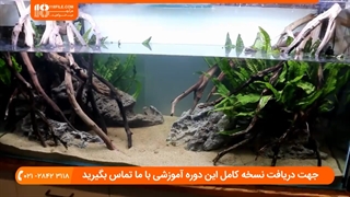 آموزش 3 روش تصفیه برای آب آکواریوم خانگی