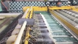 قالیشویی اینترنتی