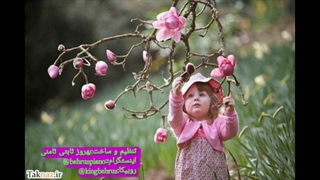 REBIRTHS غم دیگر