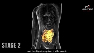 What Happens to Your Body When You Fast (During Ramadan)