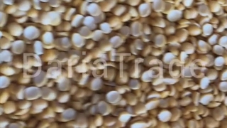 فروش لپه ریز آذرشهر