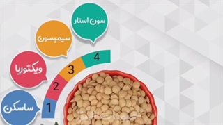 فروش انواع برند عدس کانادایی