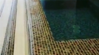 کاشی استخری