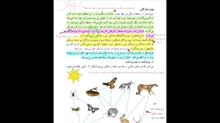 فصل 15 علوم نهم با هم زیستن (بخش اول)