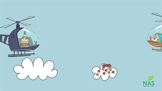 دیرین دیرین - بار آوری