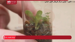 آموزش ساخت تراریوم | اینفوگراف ساخت تراریوم