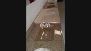 راه اندازی خط تولید سینک سنگی ظرفشویی