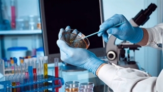 خرید دایکوت