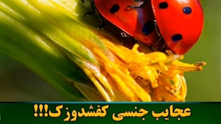 این عکسش واضح تره^_________^