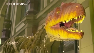 نمایشگاه واقعیت مجازی موزه برلین؛ گوگل دایناسورها را زنده می کند!