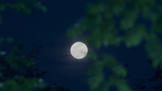 سریال چینی پرنسس چانگ 2021 قسمت 31