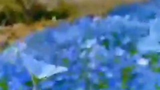 اݝازکلاس۷اردیبهشت