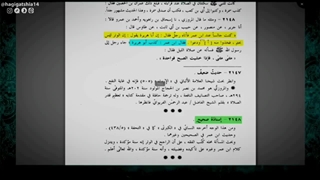 دروغگویی ابوهریره؛ بزرگترین راوی سنی، نقض عدالت کل صحابه