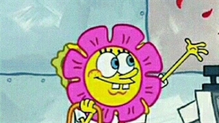 رتبه دوم وبلاگ نویسی اوردم