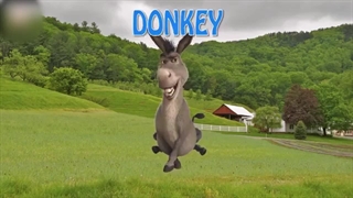 آموزش حیوانات اهلی