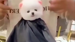 منو آرایشگر ــــم