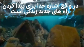 کیوت انگیزشی گرانچ