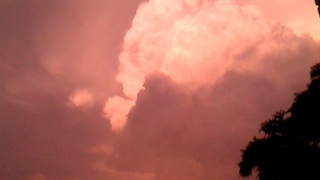 فیلمبردار-حسام الدین شفیعیان