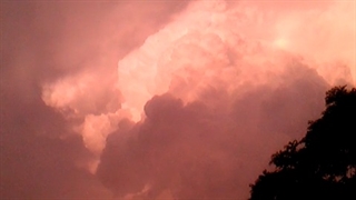 فیلمبردار-حسام الدین شفیعیان