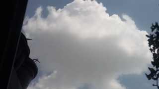 فیلمبردار-حسام الدین شفیعیان