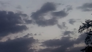 فیلمبردار-حسام الدین شفیعیان