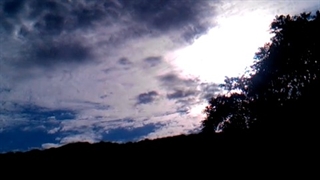 فیلمبردار-حسام الدین شفیعیان