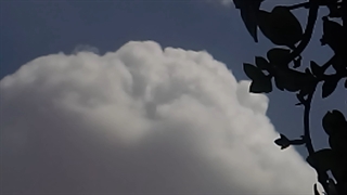 فیلمبردار-حسام الدین شفیعیان