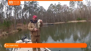 آموزش ماهیگیری :: ماهیگیری صیادی با تور