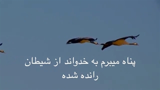 سوره قدر شریف با ترجمه فارسی به تلاوت برکت الله سلیم
