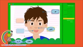 آموزش اعضای بدن