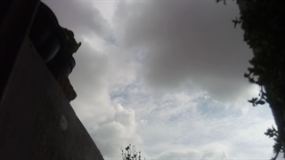 فیلمبردار-حسام الدین شفیعیان