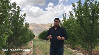 چرا بعضی بچه ها اینقدر شیطون و لج درآر هستند؟