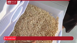 اضافه کردن میل ورم های جدید