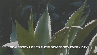 لیریک ویدیو آهنگ Until It Happens To You از Sasha Sloan