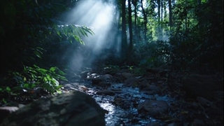 سریال چوب خیزران Rattan قسمت 28 با زیرنویس فارسی