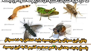 چی پرورش بدم 1826|682|0912