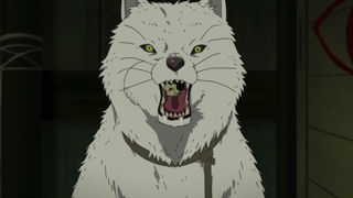 انیمه به سوی ابدیت تو قسمت 4 زیرنویس فارسی GERDU80 Fumetsu no Anata e