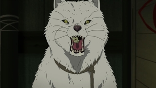 انیمه Fumetsu no Anata e قسمت 4 با زیرنویس فارسی