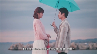 قسمت FINAL 6 ازسریال ژاپنی گربه 2020 Cat - Neko