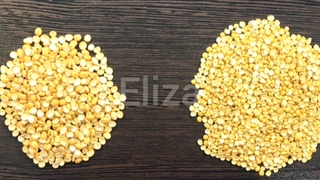 چگونه از روی ظاهر نوع لپه را تشخیص بدهیم؟