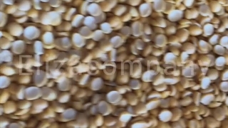 قیمت عمده لپه ریز آذرشهر