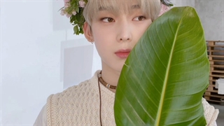 آپدیت توییتر سونو