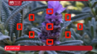 ترفند های عکاسی با دوربین حرفه ای ( وایت بالانس ( تراز سفیدی ) )