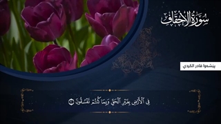 القرآن الکریم الجزء السادس والعشرون بصوت قارئ بیشةوا قادرالکردی | پیشوا کردی |Holy Quran Part 26 By Peshawa Kurdi