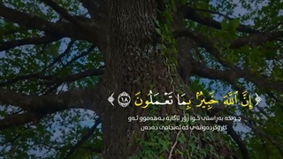 یا ایها الذین امنوا اتقوا الله ولتنظر نفس ماقدمت لغد واتقوا الله ان الله خبیر بما تعملون | پیشوا کردی | قاری | قرآن | تلاوت