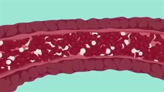 انیمیشنی درباره پیر شدن طبیعی قلب با تغذیه سالم